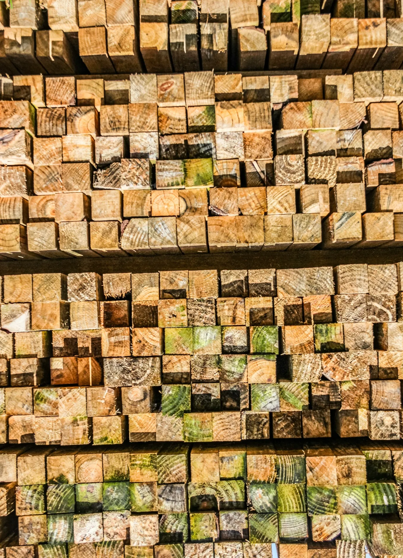 A wall of sawn timber stacked end on, hundreds of square cut faces