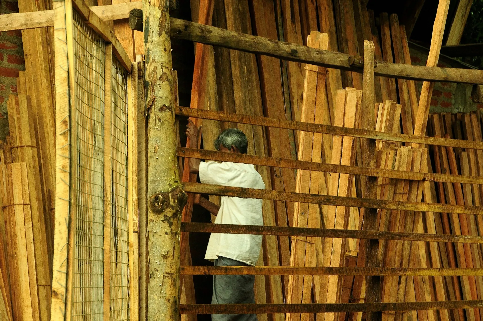 Sawn boards stacked in a timber yard